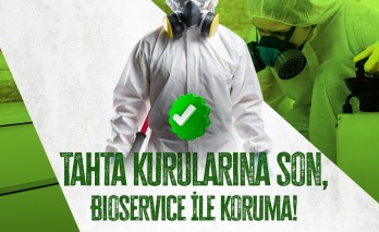 Tahtakurusu: Evinizdeki Gizli Tehlike